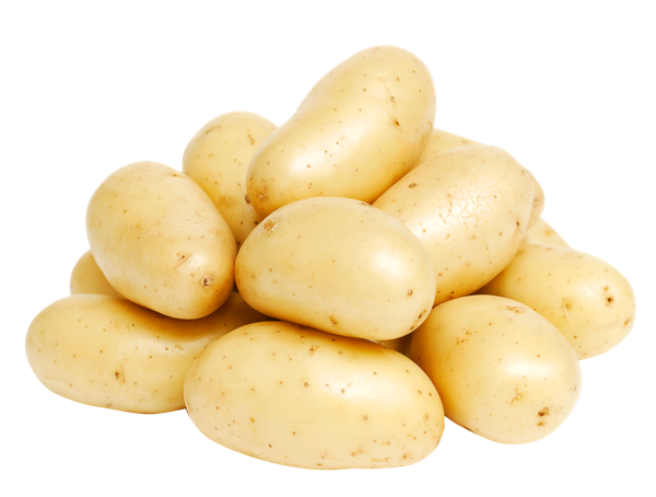 Корнеплод молодой Картофель крупный белый местный урожай 2023  вес 