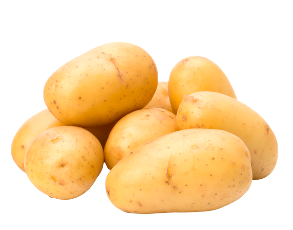 Корнеплод ранний Картофель белый  сетка 