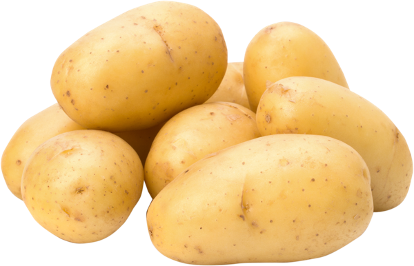 Корнеплод молодой Картофель сорт голландский  вес 