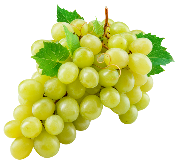 Ягода  виноград белый  лоток, 500 г