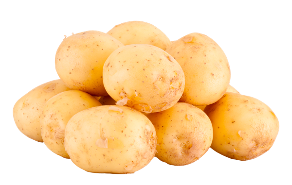 Корнеплод ранний Картофель белый мытый  подложка, 1 КГ