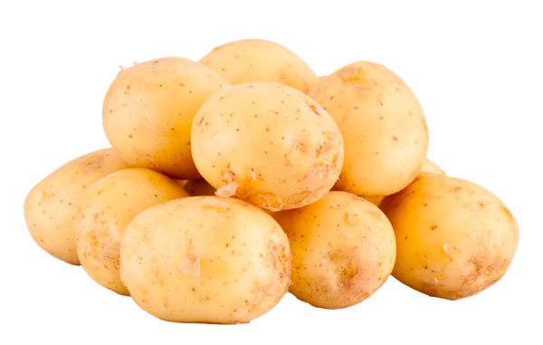 Корнеплод ранний Картофель белый мытый подложка, 1 КГ
