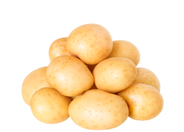 Корнеплод местный Кубанский фермер картофель белый Игнина Д.Р. ИП сетка, 2 КГ