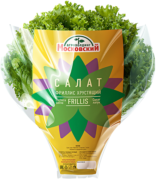 Зелень в горшочке Салат фриллис Московский АК горшочек, 1 шт